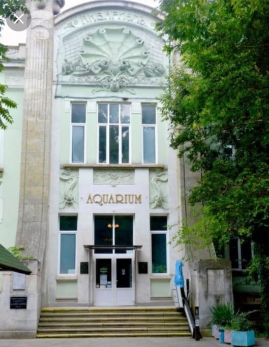 Home Relax Варна Екстериор снимка